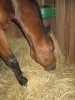 IMG_9984.JPG