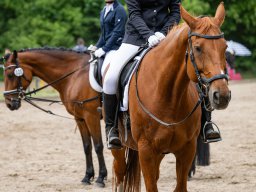 Reitertag 2026