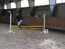 Reitert 2023